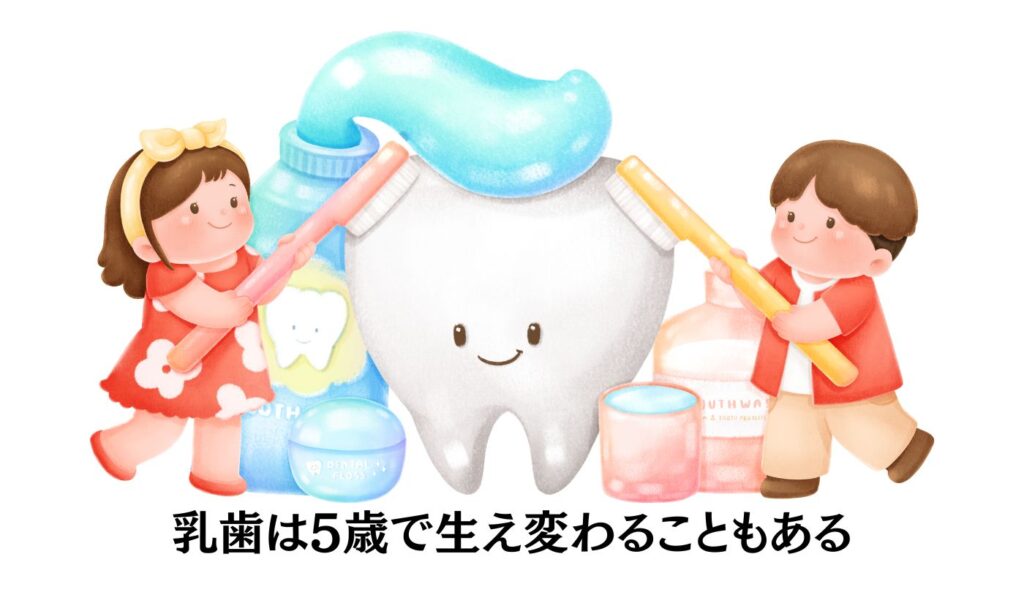 乳歯 生え変わり 5歳