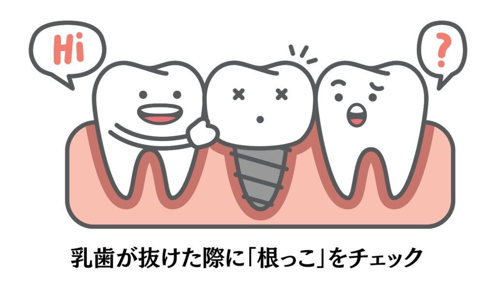 乳歯 生え変わり 根っこ チェック