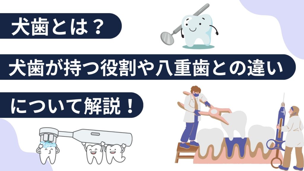 犬歯とは　八重歯　矯正　違い　